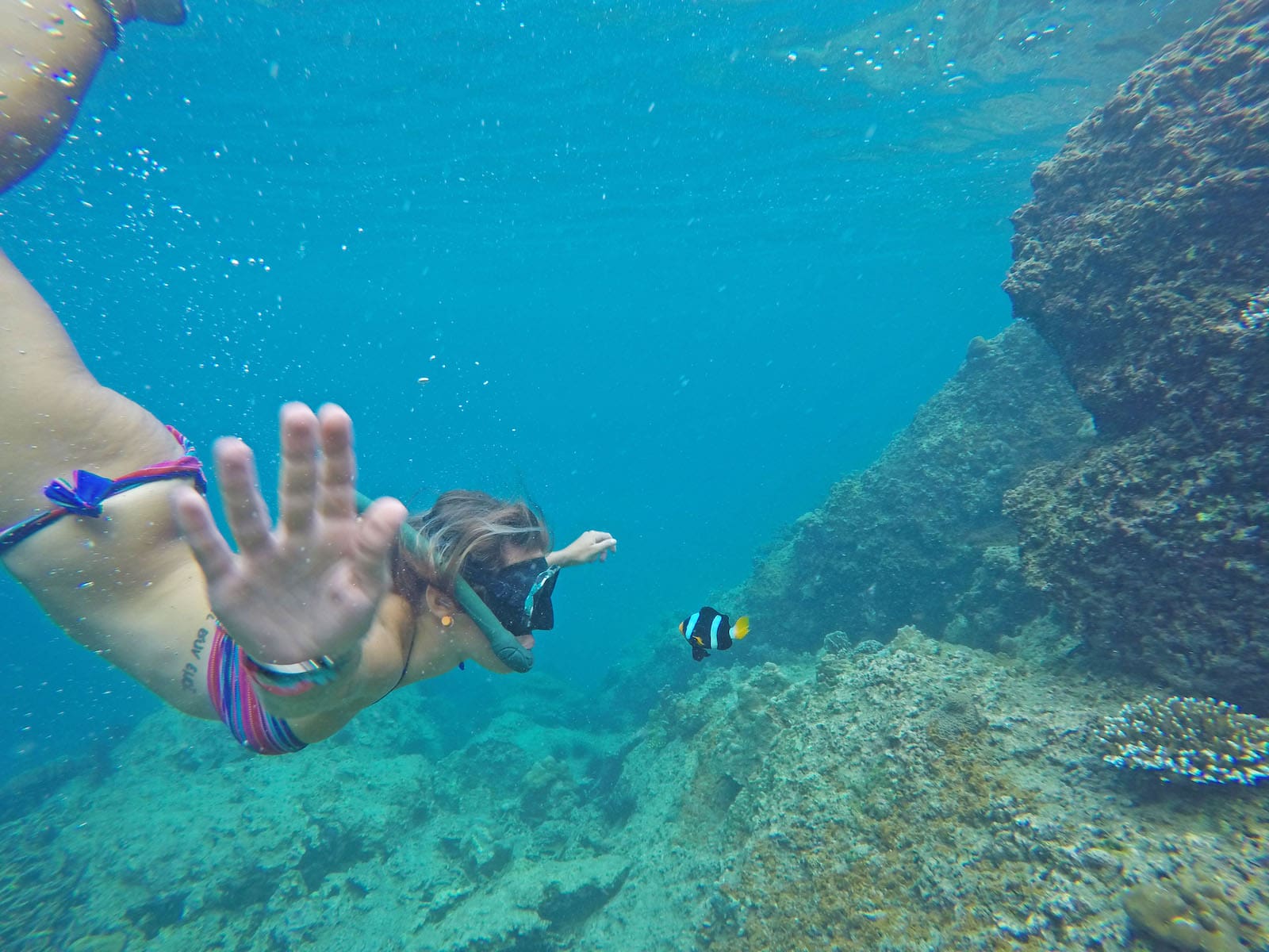 DCIM100GOPROG0053359.